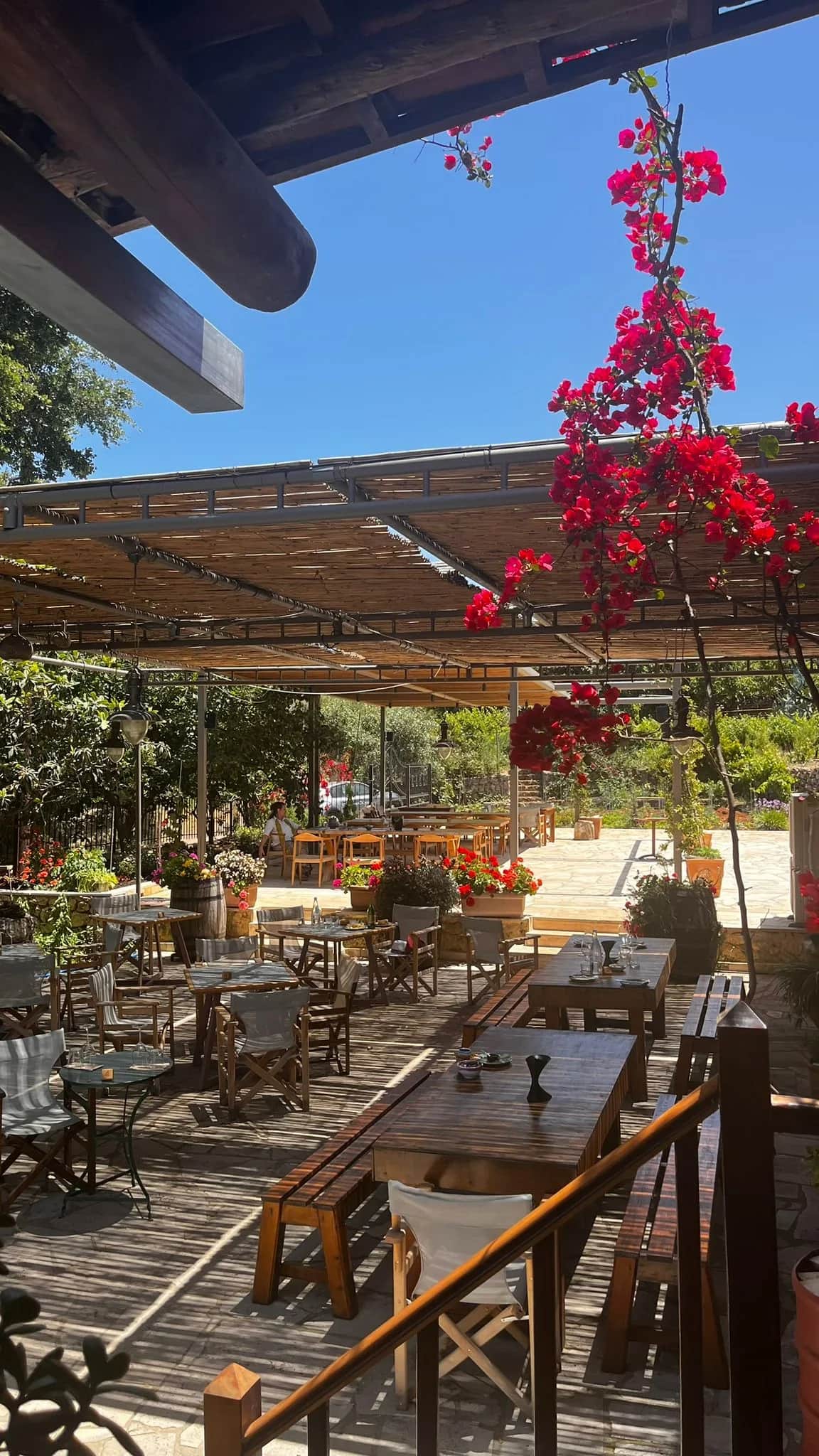 Olive Oil Tasting in Crete: Farms, Mills and Food